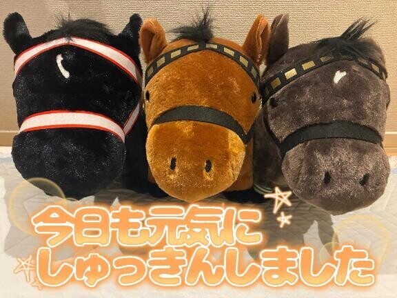 出勤しました
