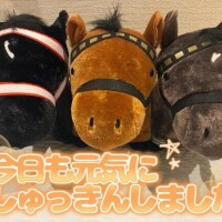 出勤しました