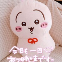 ウラヤハボウズ