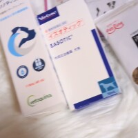 どれを食べるかな