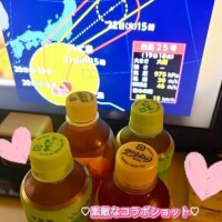 ビバーチェ202お兄様