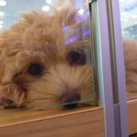 本日16:00～ よろしくお願いします☆