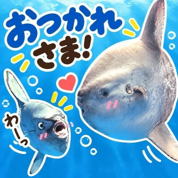 月