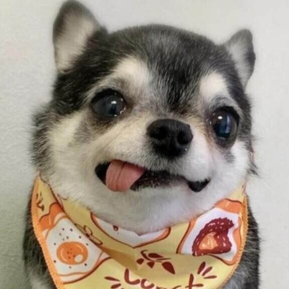 準備しよっ?