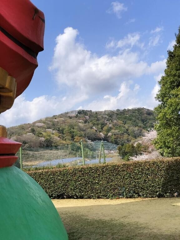 21  Мさん