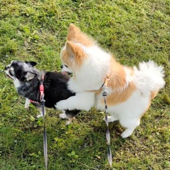 明日も?出勤するよーーー