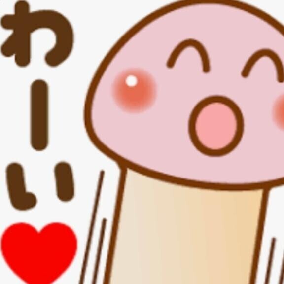 本日ワケアリ日?