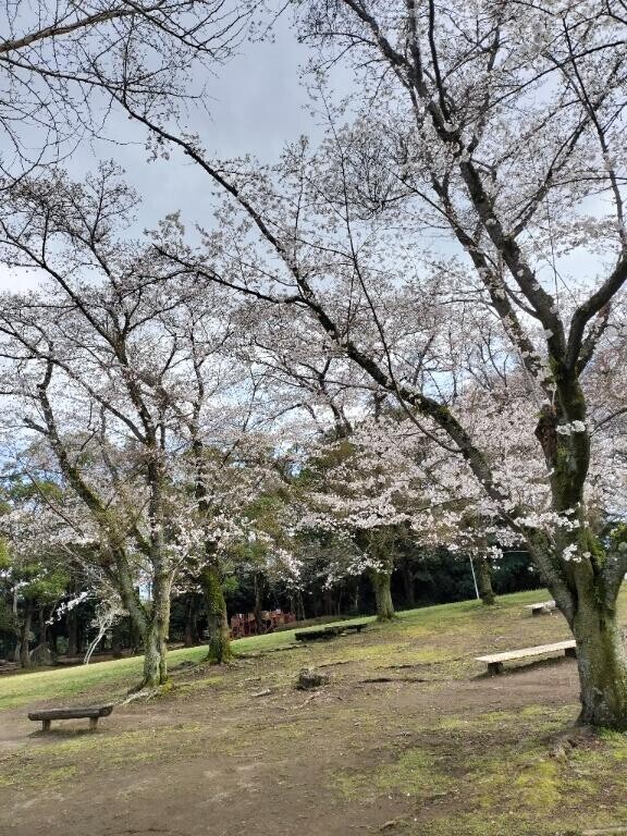 [お題]from:20年使ったタオルさん
