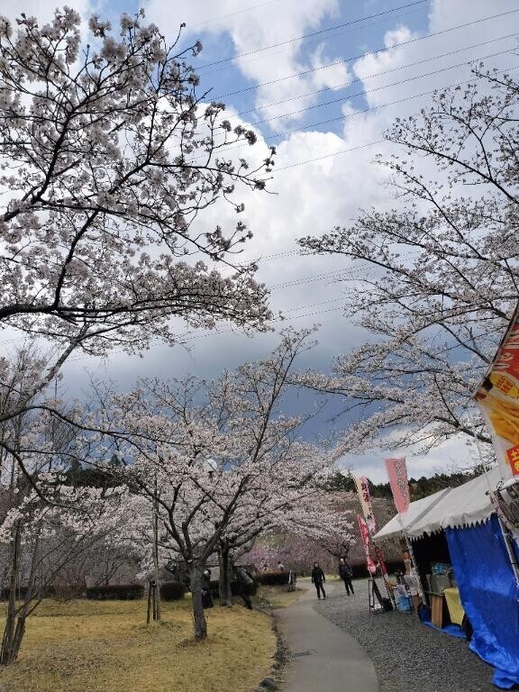 サラサ　Sさま
