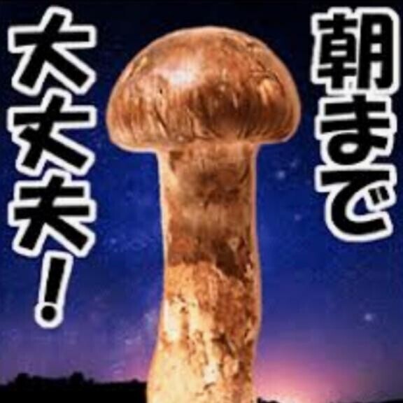 明日も?出勤するよーーー