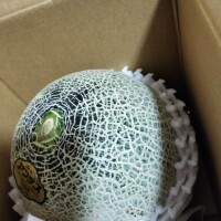 せいか