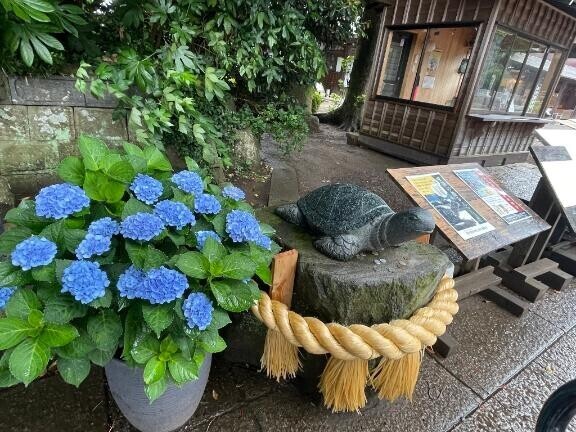 こんにちは♡
