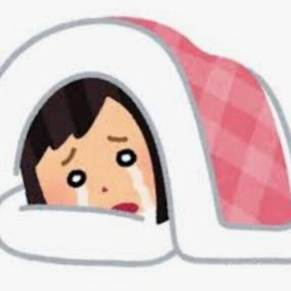 ごめんなさいm(_ _;)m