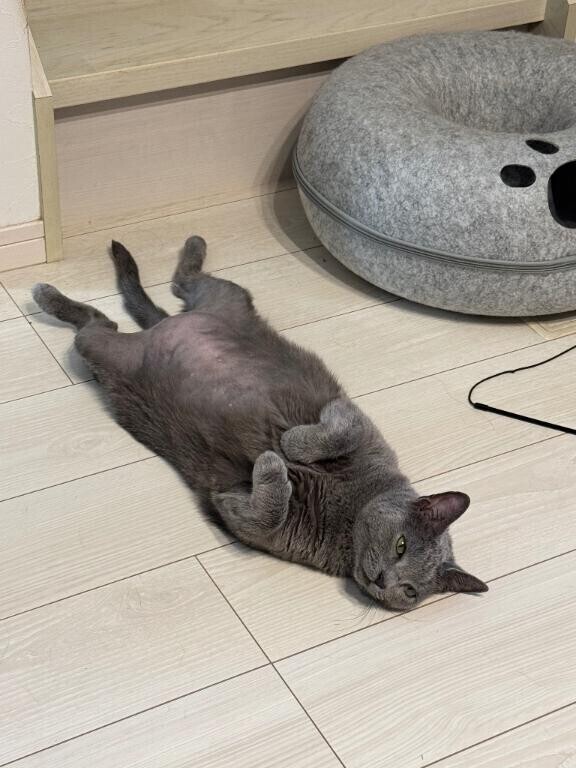 明日っ♡