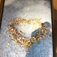 しの