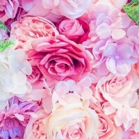 ちさと