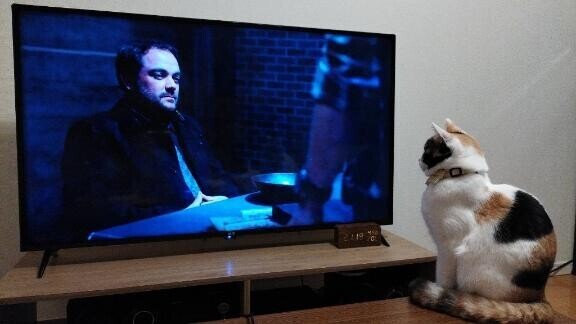 [お題]from:あいちゃん1112さん