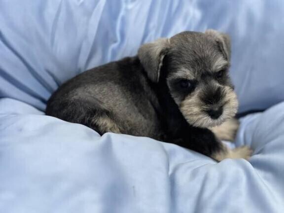 おはようございます