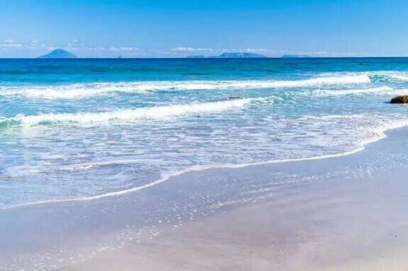 個人オプション♫