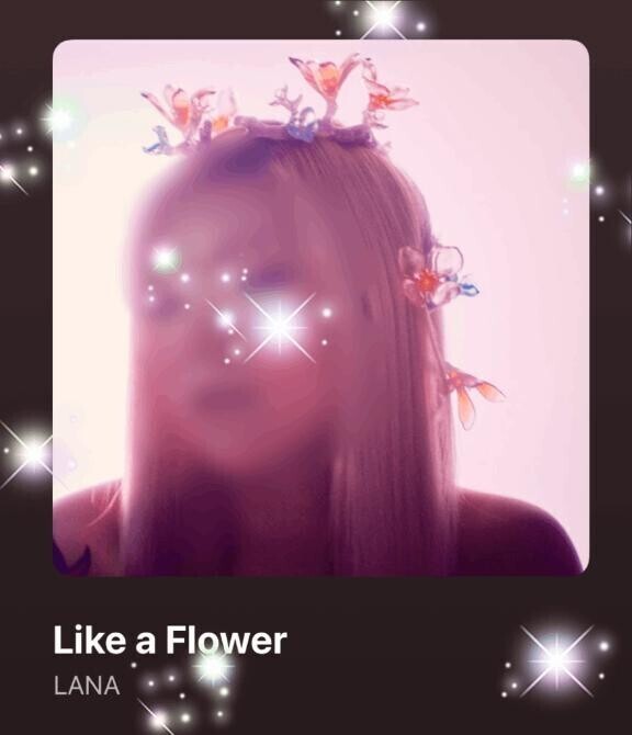 今日の(*´∇｀*)♪