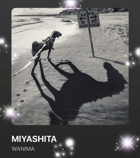 今日の(*´∇｀*)♪