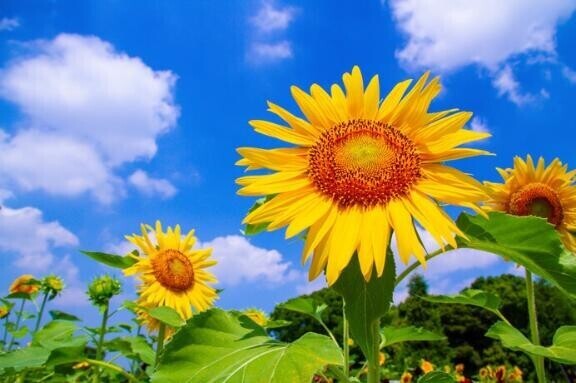 増えた( * ॑꒳ ॑*)♡