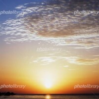 つみき(ニューハーフ)