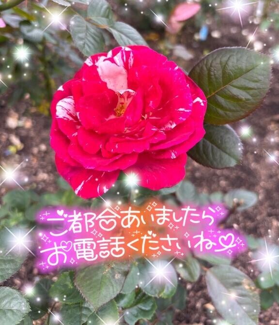 明日🩷(*´꒳`*)