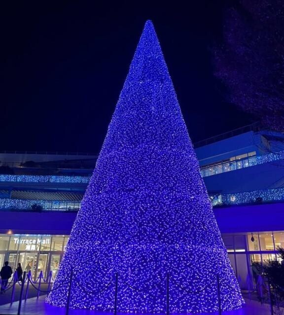 水戸はクリスマスどんなですか？