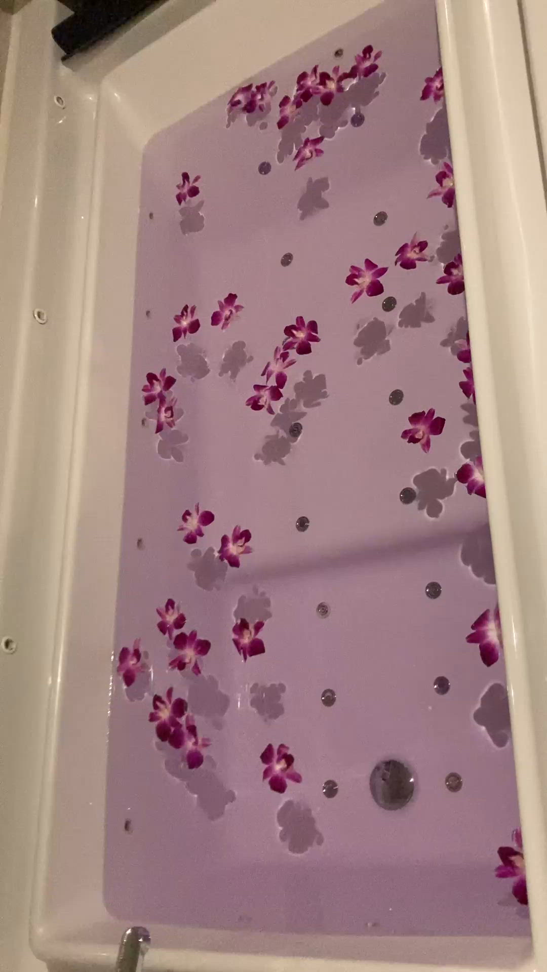 [お題]from:アポロンさん