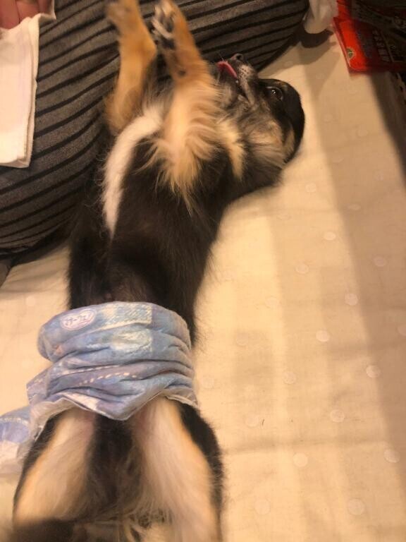 こう見えて実は