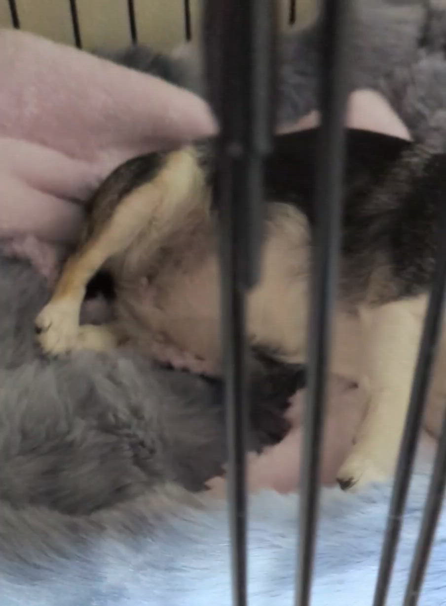 出勤するよーーー