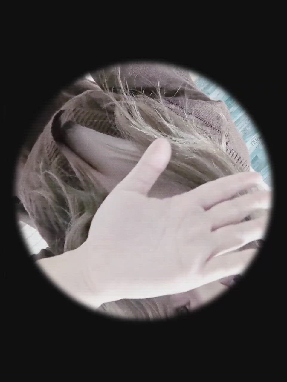 今日も今日とて。。。