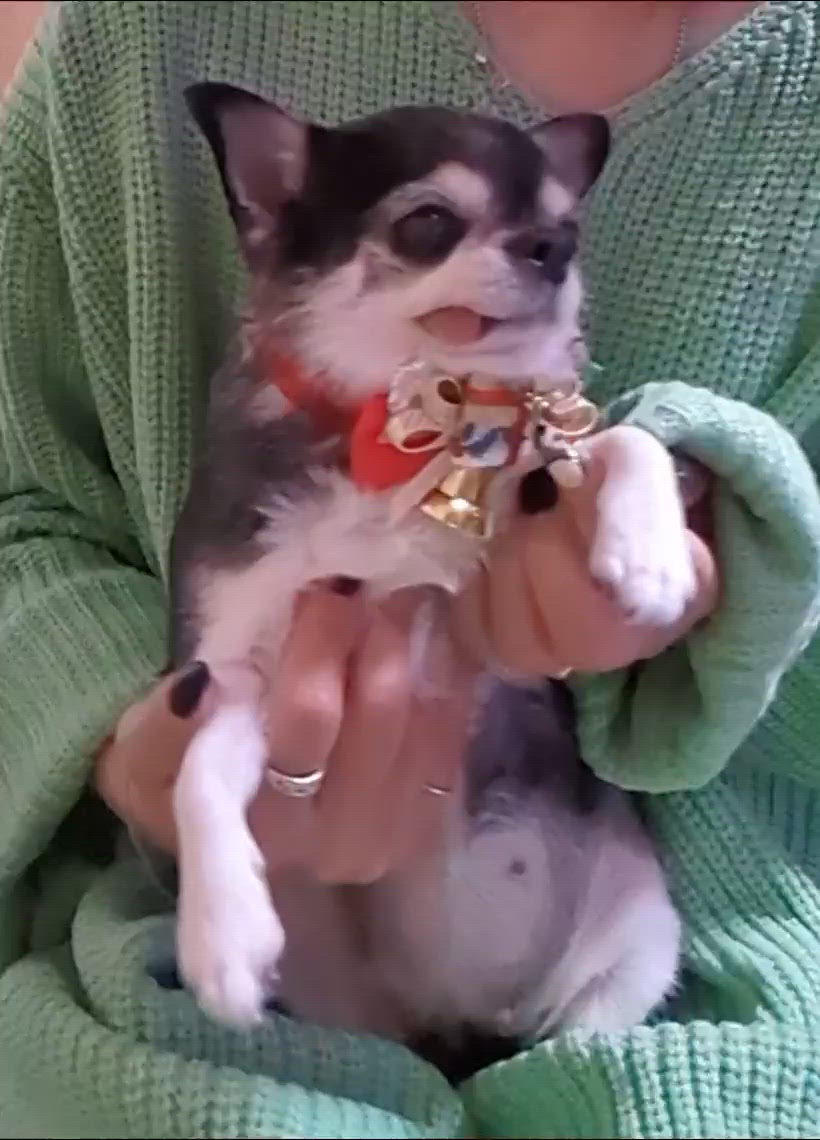 出勤したよーーー