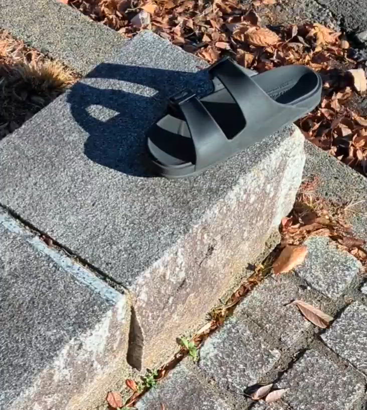 落とし物ですよ