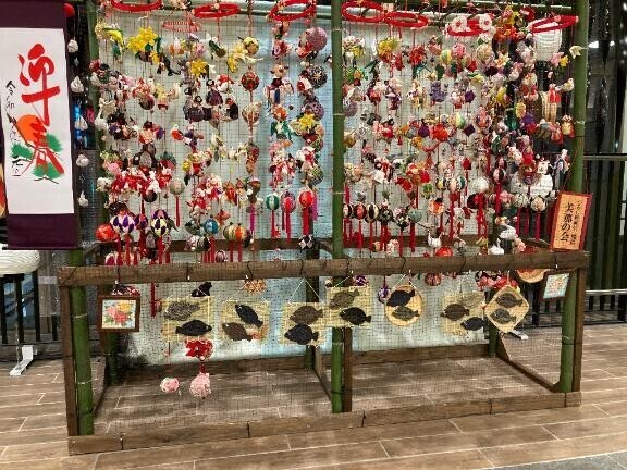 水戸に帰ってきちゃった