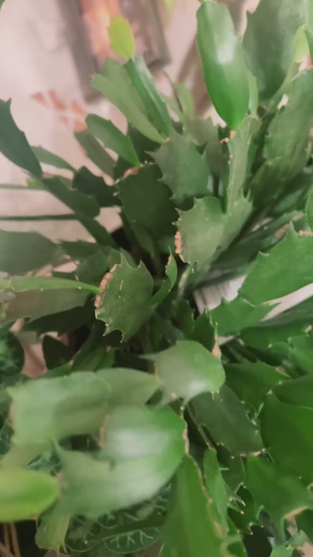 今日はどんな日でしたか？