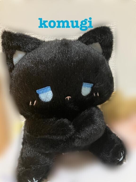 おはようございます♡