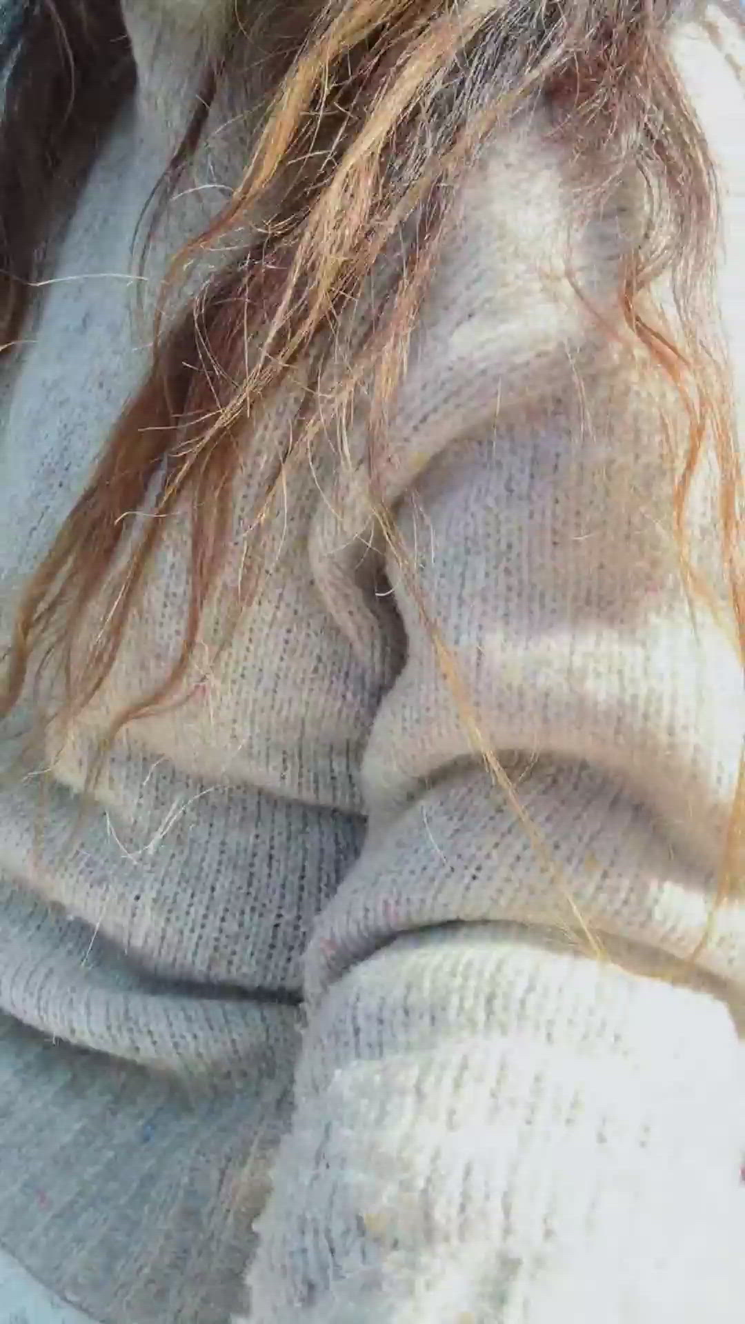 昨日のお礼です。昨日は