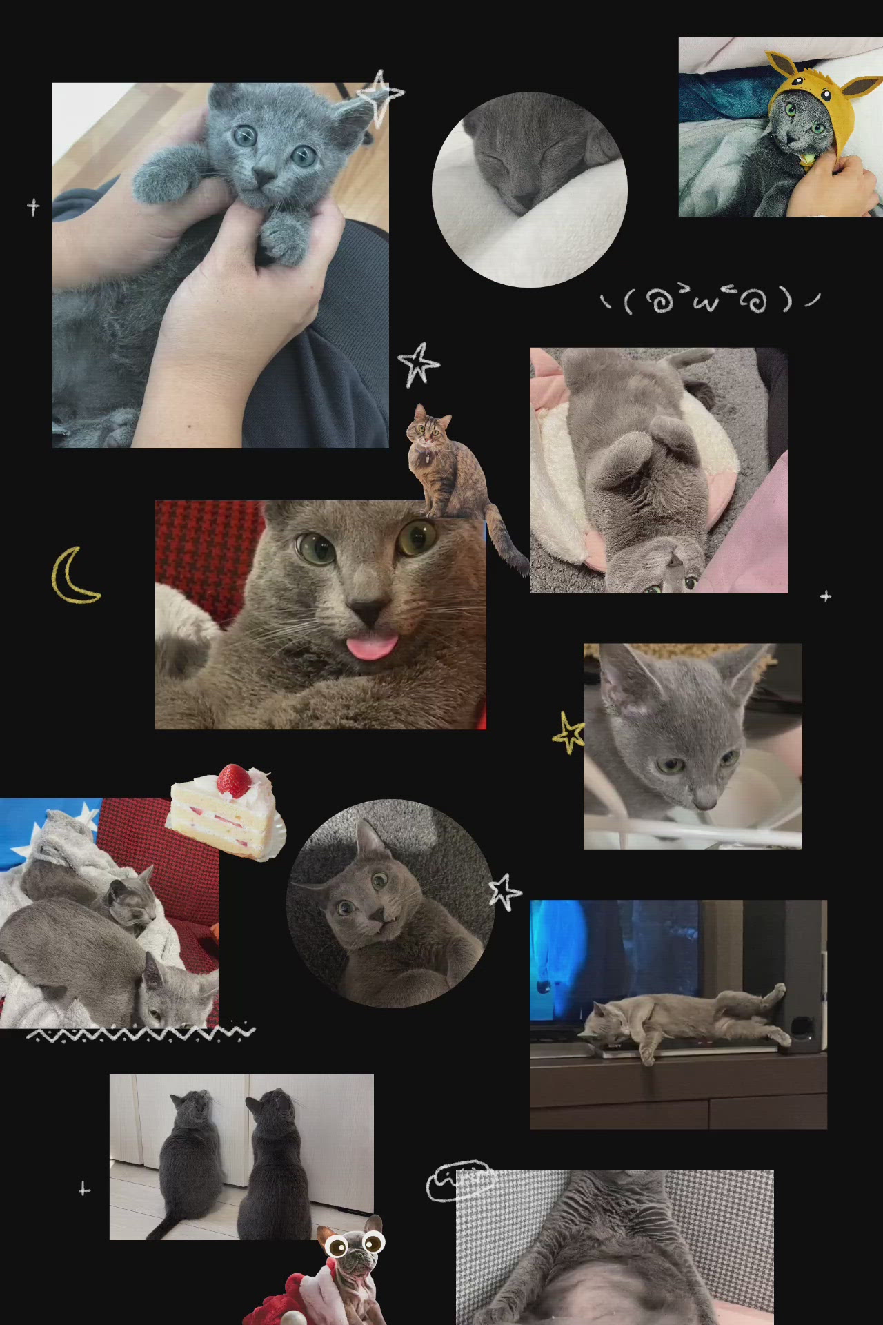 [お題]from:かわいすぎさん