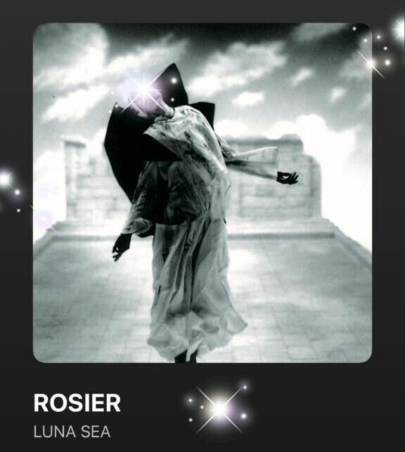 今日の(*´∇｀*)