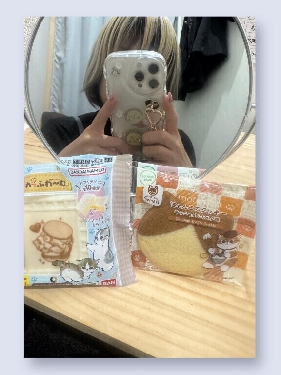 猫大好きです🫶( ΦωΦ )