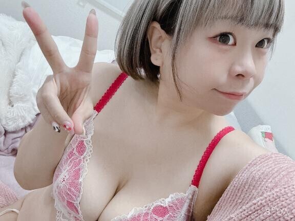 本日のお知らせ