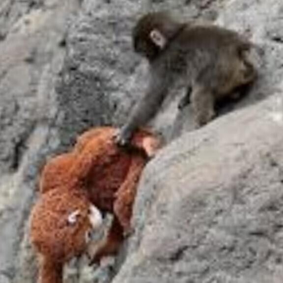 行って見たいな〜