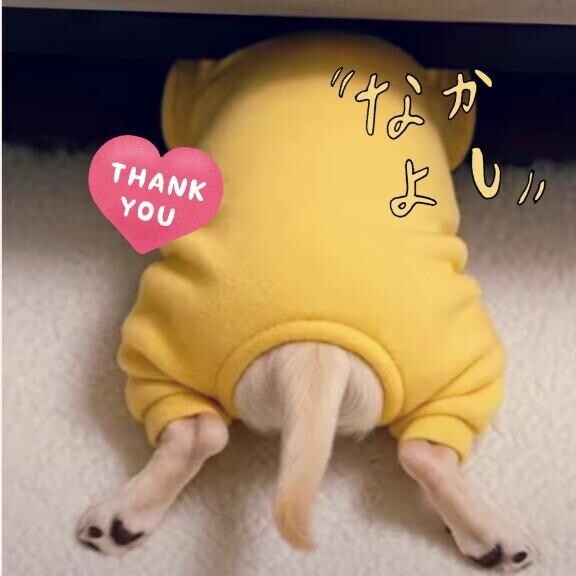 すっごいよえ〜