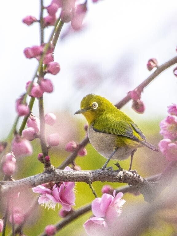本日も沢山のお誘いに感謝m(__)m