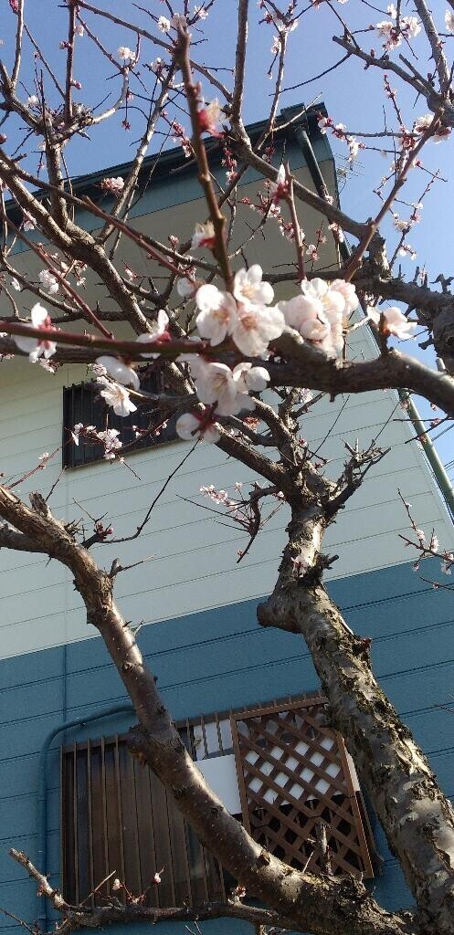 申し訳ありません