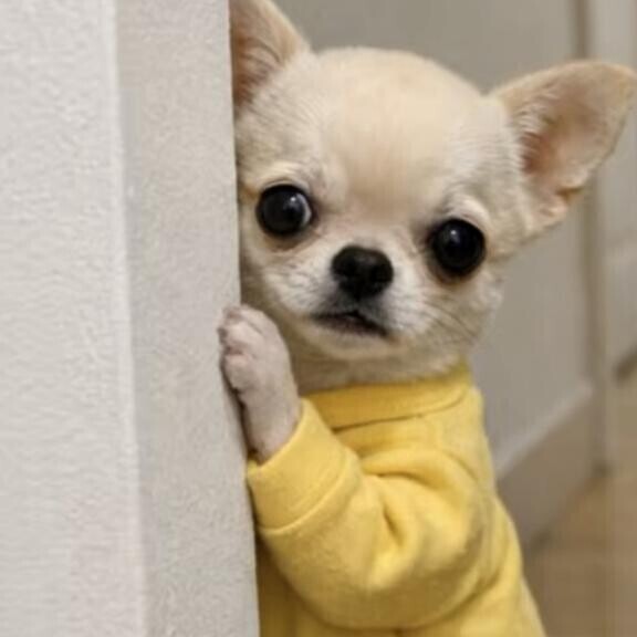 明日は出勤するよーーー