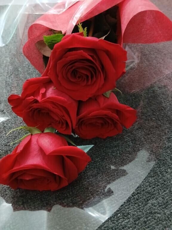 【お礼写メ日記】