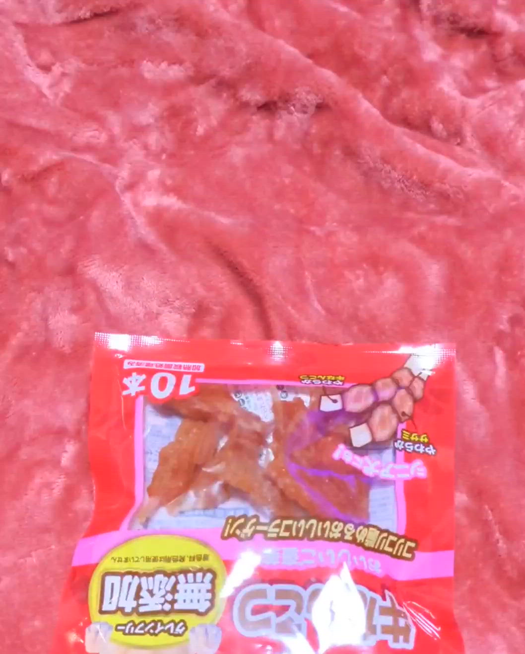 きょうのわんこ